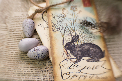 大赢家平台的多样化游戏选择与盈利策略