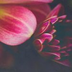 天庭娱乐网页版:带你进入一个全新的在线娱乐世界 fayx5kxz4