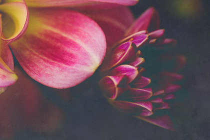 天庭娱乐网页版:带你进入一个全新的在线娱乐世界