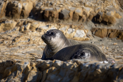 大佬娱乐：揭秘娱乐圈中的权力游戏与明星背后的故事