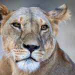 18062期体彩开奖结果公布,大奖花落谁家引关注 15isfpqy21