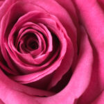 18015期开奖结果最新公布,大奖花落谁家? 1c9g145s0