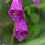 18045期大乐透开奖结果公布,大奖花落谁家? 3689p0