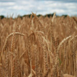 18041期双色球开奖结果公布,头奖花落谁家? 6cklm