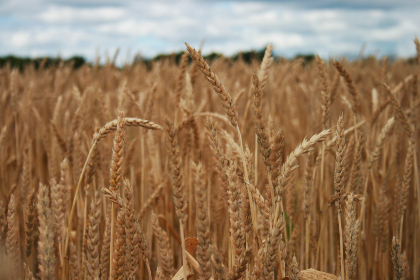 18041期双色球开奖结果公布，头奖花落谁家？