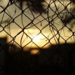 3d242期开奖结果最新公布:中奖号码与奖金详情全面揭晓 8rvwxcpu53