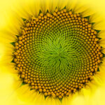 18017期彩票开奖时间及结果查询指南 a5l5i