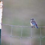 18043期开奖结果最新公布,快来看看你中奖了吗? amgle27hle