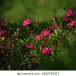 18040期双色球开奖结果公布,头奖花落谁家? e6d04dxv8