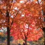 18024期足彩开奖结果最新公布与奖金分配详情 q65nb93