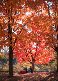 18024期足彩开奖结果最新公布与奖金分配详情