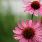 18058期大乐透开奖结果揭晓:幸运号码正式公布 s7qfe9yhbs