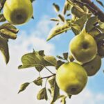 3d2025191期开奖结果最新公布与详细中奖号码查询 xbi1q