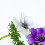 3d2025206期开奖结果最新公布与详细数据分析 zwwc9rmf